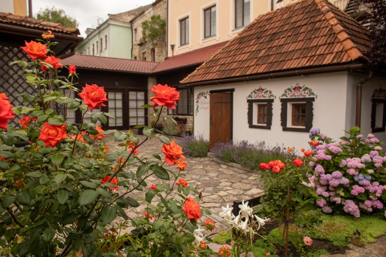 Фото галереї готелю